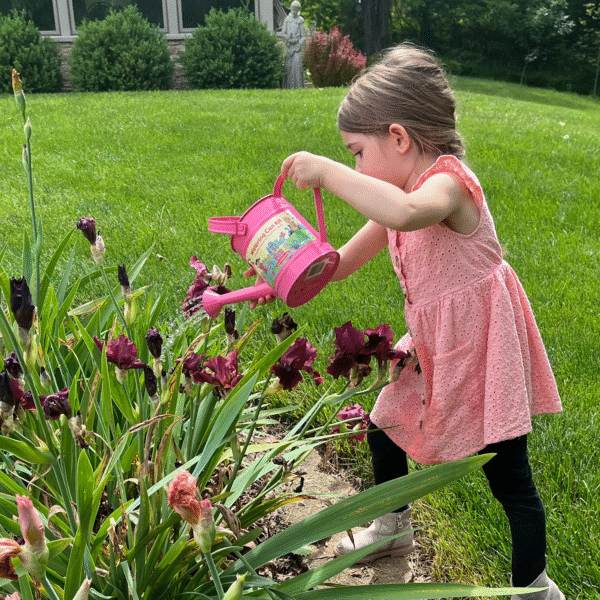Little Pals Kids Pink Watering Can Kit w/Trowel & Gloves - Image 4