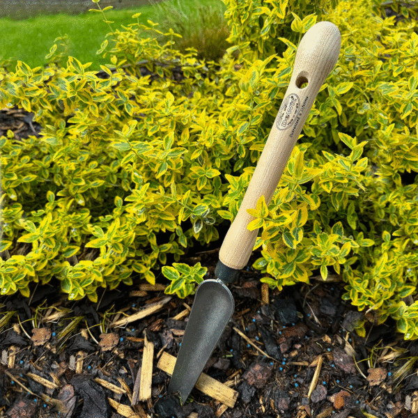 DeWit Welldone Snake Tongue Trowel with Midsize 10" Handle, Head: 5"L x 3.25"W; Total: 16.5"L - Image 2