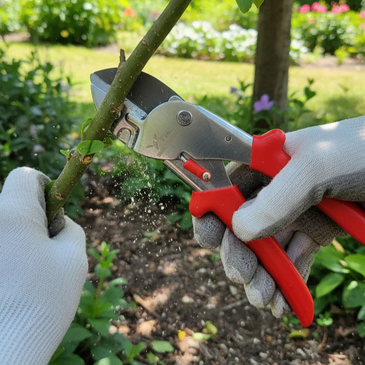 Professional Garden Pruner 1